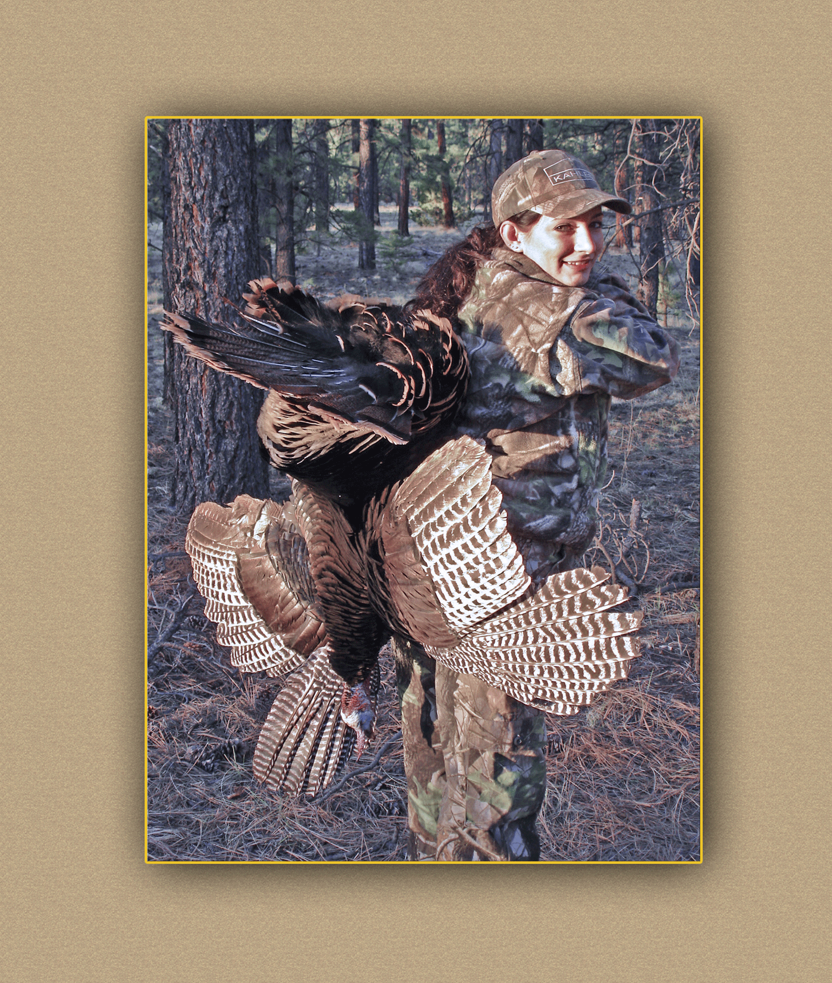 yellowhorn outfitters arizona hunting yellowhorn guiding outfitting deer elk bighorn sheep antelope photography