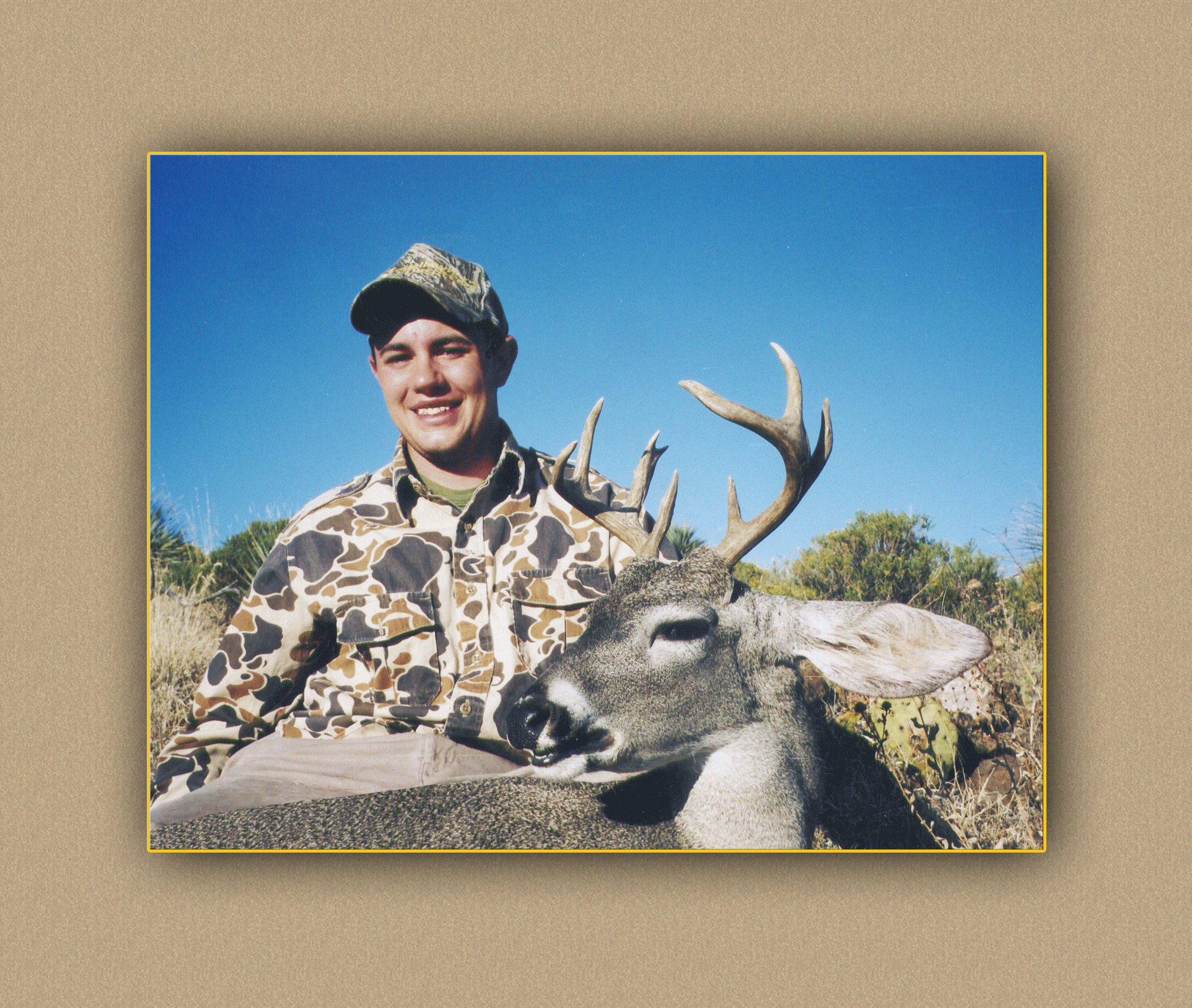 arizona hunting yellowhorn arizona bighorn sheep guiding outfitting deer elk antelope photography