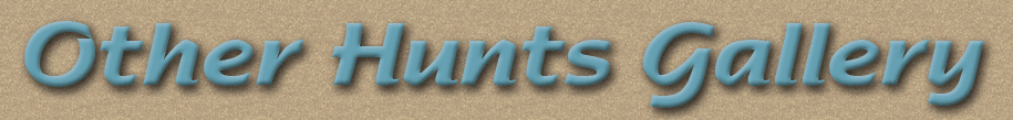 other hunts gallery yellowhorn outfitters